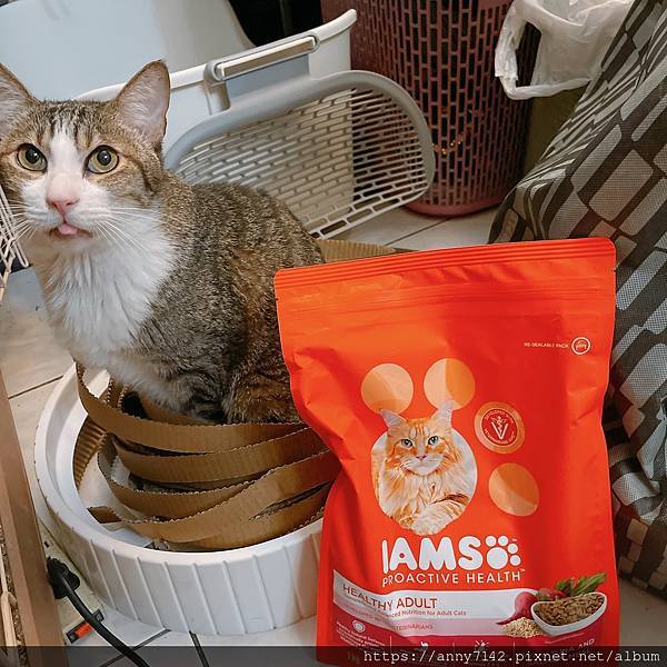 ［萌竉●貓飼料推薦］IAMS™愛慕思™健康優活系列-成貓營養