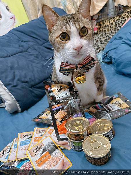 [萌寵●貓主食]Sheba®希寶 ｜成貓飼料，鮮肉慕斯主食罐