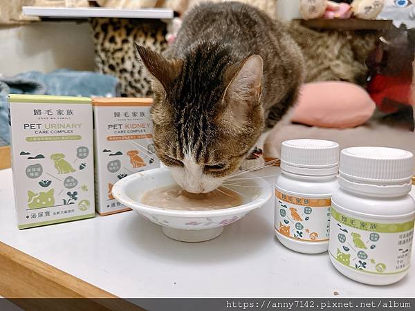 [萌寵●保健]毛孩的健康照護，歸毛家族 Good 寶系列｜護