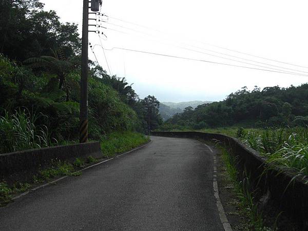 嶺腳望古十分農用道路 32.jpg