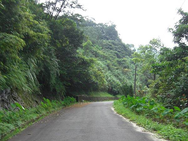 嶺腳望古十分農用道路 45.jpg