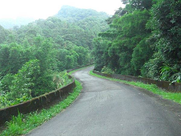 嶺腳望古十分農用道路 64.jpg