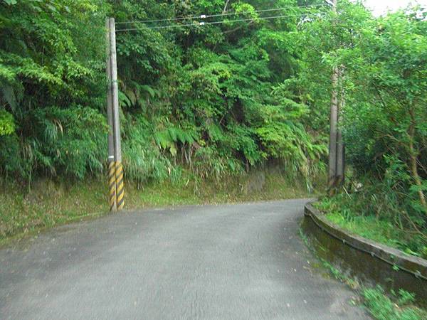 嶺腳望古十分農用道路 72.jpg