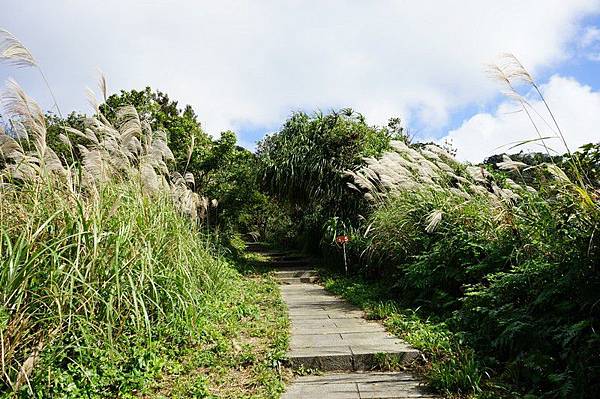 五分山步道 05.jpg