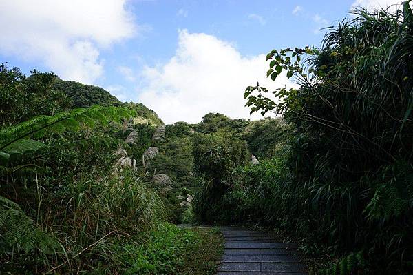 五分山步道 07.jpg