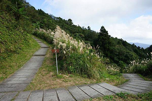 五分山步道 18.jpg