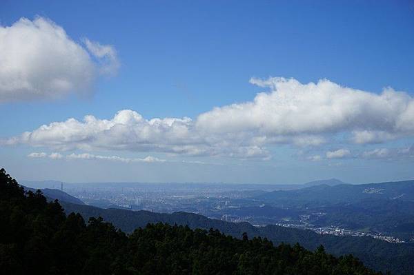 五分山步道 28.jpg