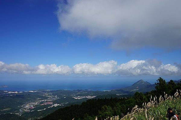 五分山步道 42.jpg