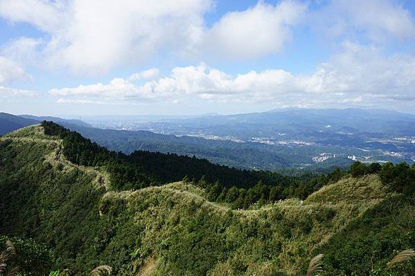 五分山步道 44.jpg