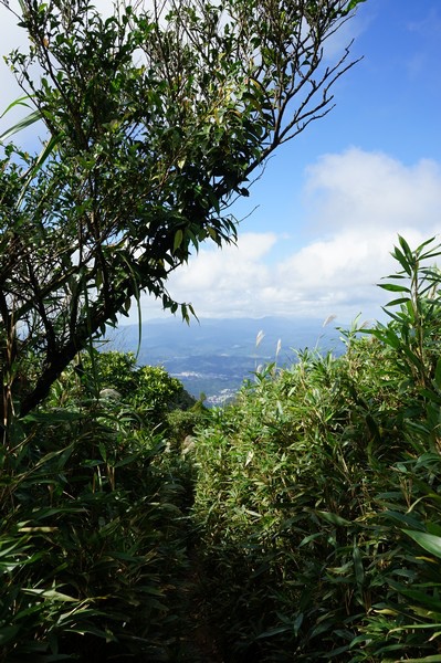 五分山步道 62.jpg