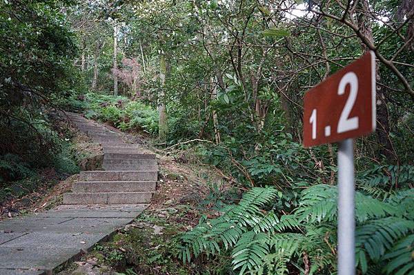 五分山步道 132.jpg