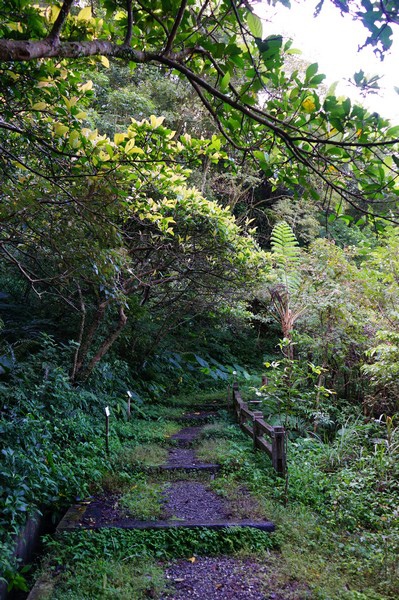 荖寮坑礦坑遺址 10.jpg