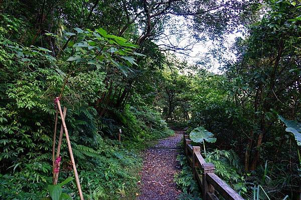 荖寮坑礦坑遺址 11.jpg