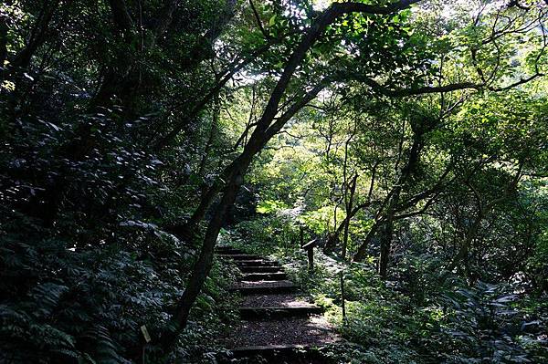 荖寮坑礦坑遺址 13.jpg