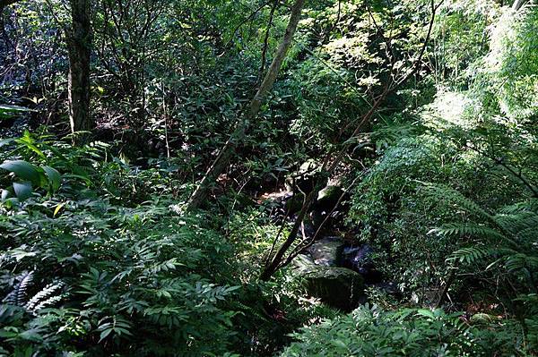 荖寮坑礦坑遺址 14.jpg