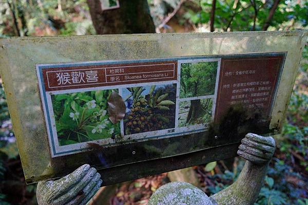 荖寮坑礦坑遺址 16.jpg