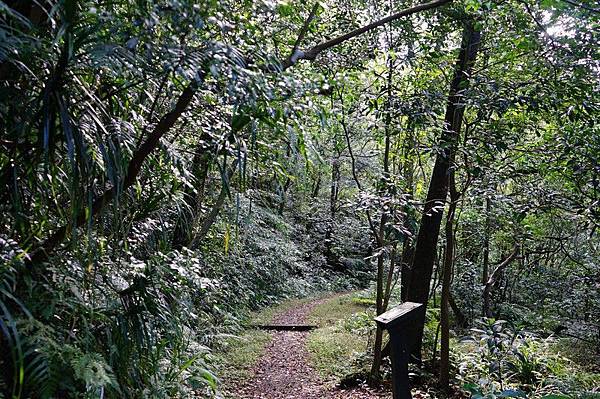 荖寮坑礦坑遺址 26.jpg