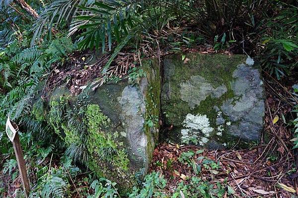 荖寮坑礦坑遺址 57.jpg