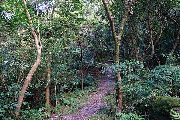 荖寮坑礦坑遺址 59.jpg