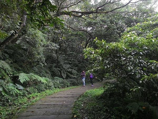 清水登山步道 09.jpg