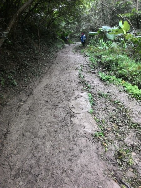 清水登山步道 13.jpg