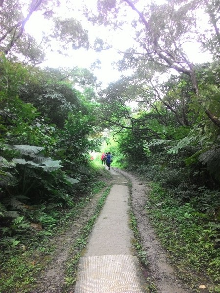 清水登山步道 14.jpg