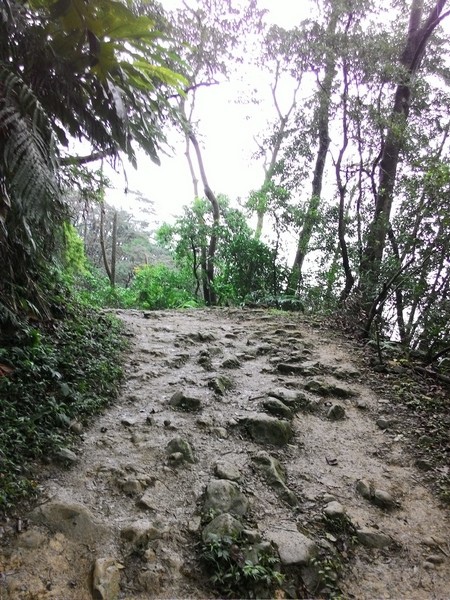 清水登山步道 27.jpg