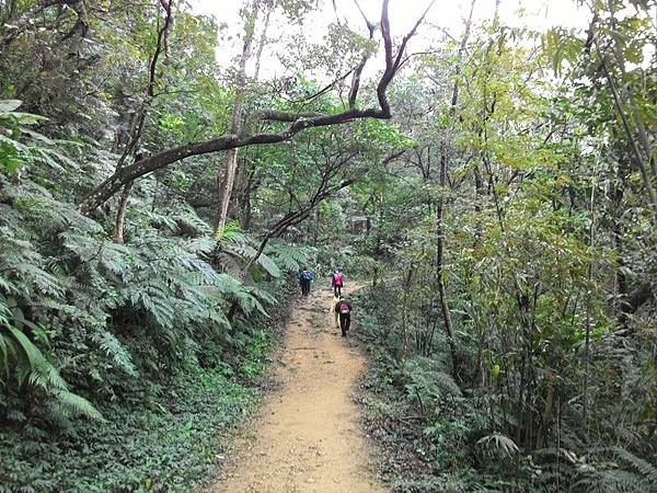 清水登山步道 28.jpg