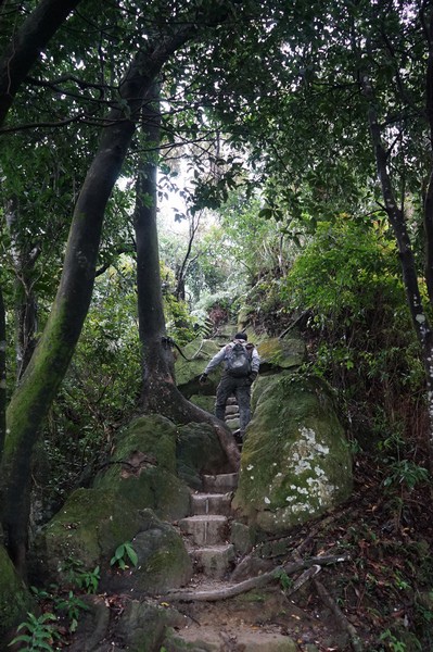 清水登山步道 48.jpg