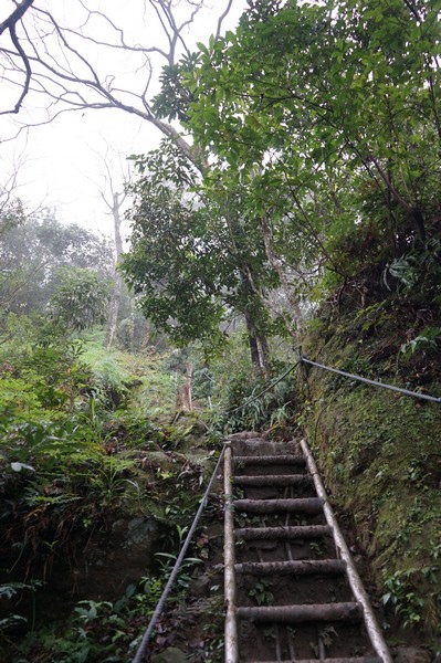 清水登山步道 54.jpg