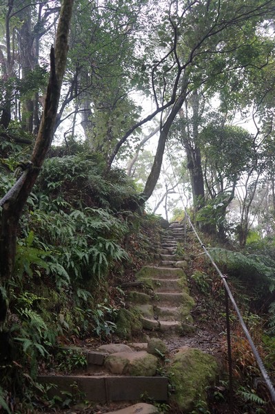 清水登山步道 63.jpg