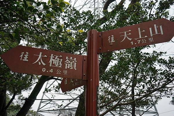 清水登山步道 65.jpg