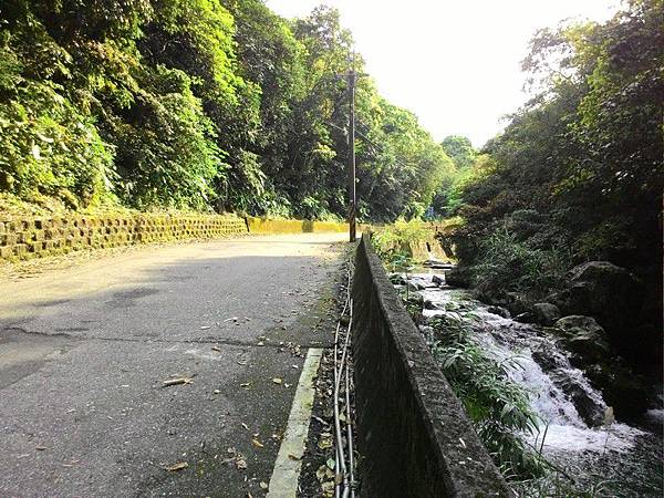 雙泰產業道路 11.jpg