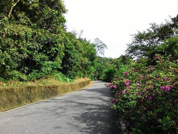 雙泰產業道路 21.jpg