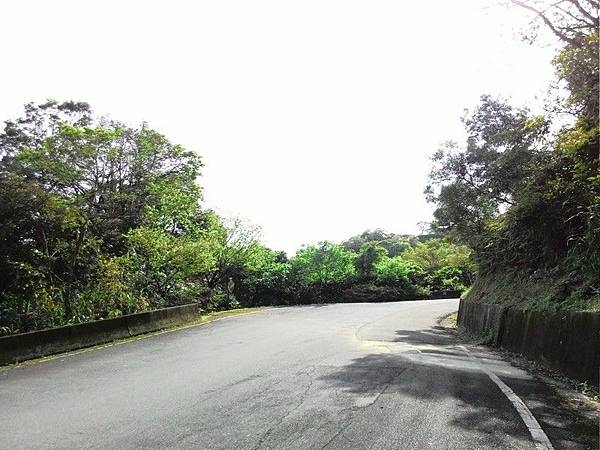 雙泰產業道路 30.jpg