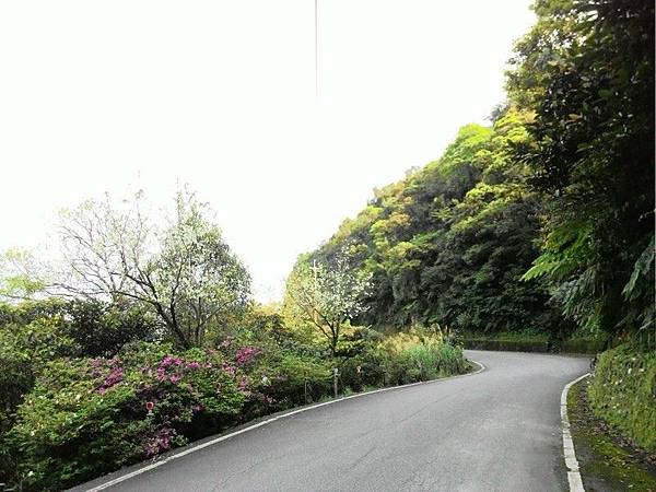 雙泰產業道路 44.jpg