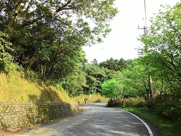 雙泰產業道路 50.jpg