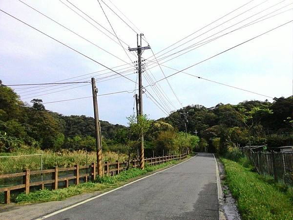 雙泰產業道路 54.jpg