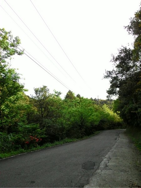 雙泰產業道路 55.jpg