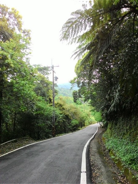 雙泰產業道路 72.jpg