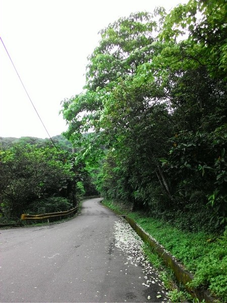 瑪七產業道路 18.jpg