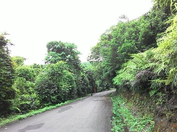 瑪七產業道路 27.jpg