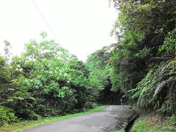 瑪七產業道路 30.jpg