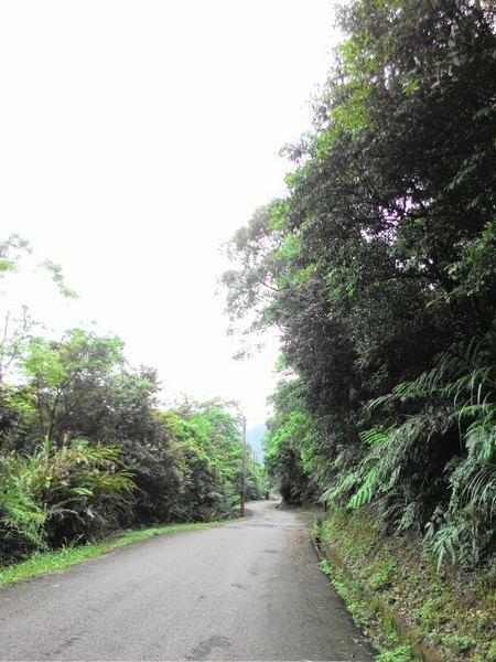 瑪七產業道路 44.jpg