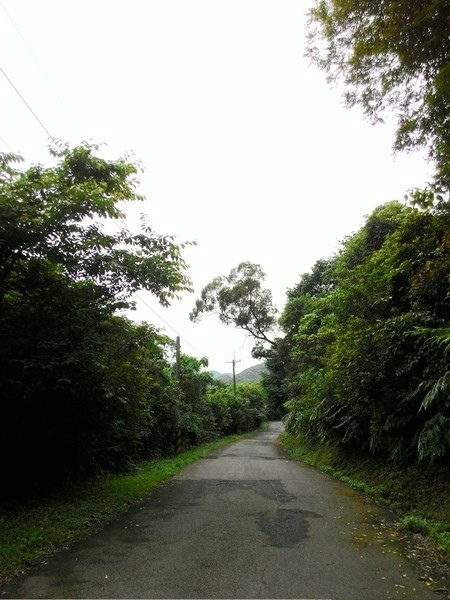 瑪七產業道路 49.jpg