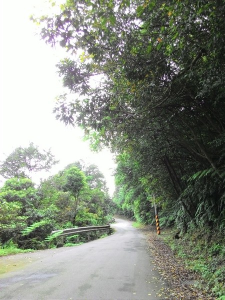 瑪七產業道路 60.jpg