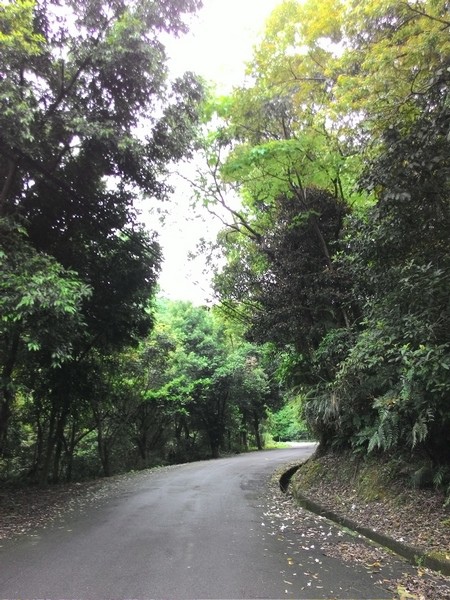 瑪七產業道路 62.jpg