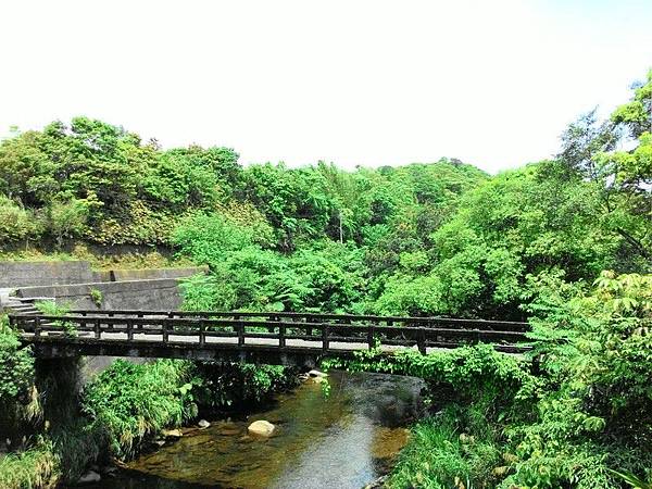 雙泰產業道路 18.jpg