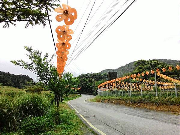 雙泰產業道路 34.jpg