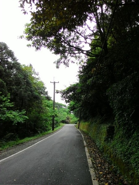 雙泰產業道路 32.jpg